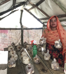 Nilufar has turned around