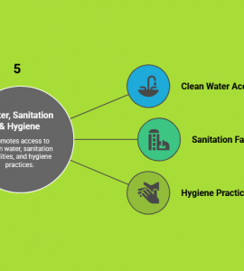 Theme (5): Water, Sanitation & Hygiene
