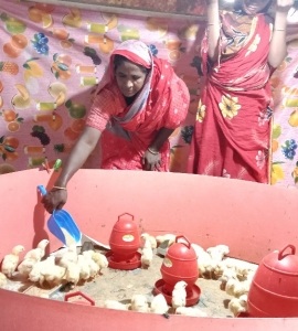 VSLA meeting and loan made confident of Kulsum to earn money through IGA