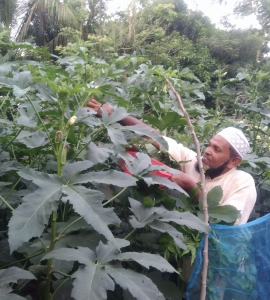 A story of a successful farmers