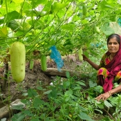 ‘We dream of a bright future by cultivating vegetables using climate-adapted technology’