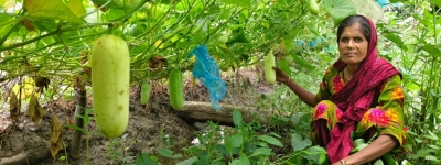 ‘We dream of a bright future by cultivating vegetables using climate-adapted technology’