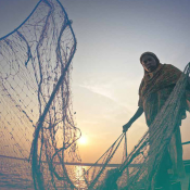 Women Fisherfolk in Coastal Bangladesh: Invisible Workforce Demanding Recognition and Protection