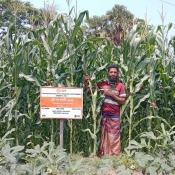 Rangabali resident Mohammad Hridoy achieves success in maize farming