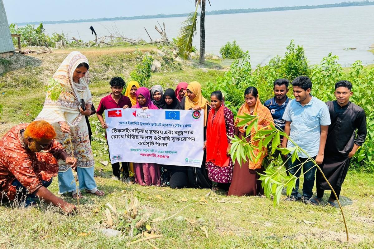 Tree Plantation, Patharghata