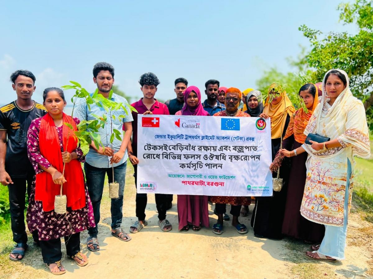 Tree Plantation, Patharghata