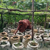 360 families on the path to sustainable livelihoods through climate-resilient agriculture
