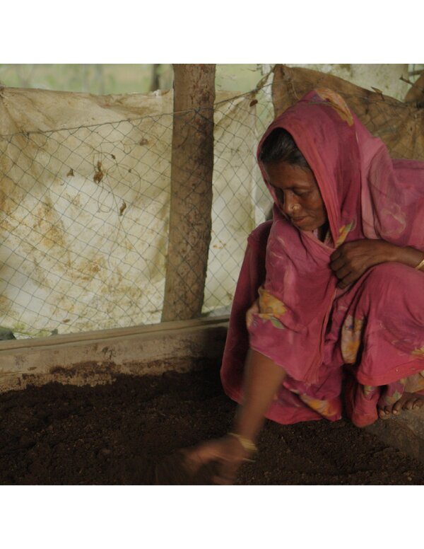 Iga Support To Jagonari To Encourage The Use Of Biofertilizers And Create Local Entrepreneurs (PDF)