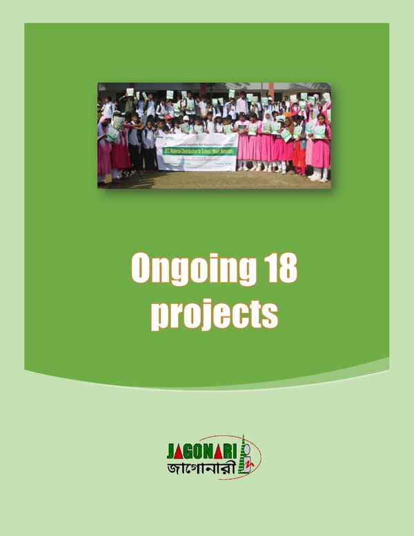 1: Ongoing Projects: Update 19 Feb 2026 (PDF)