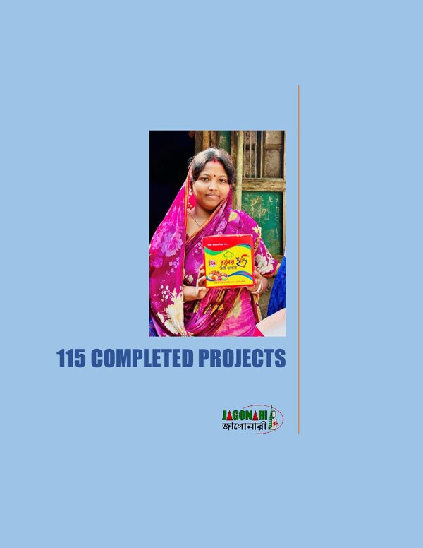 2: Completed Projects: Update 19 Feb 2026 (PDF)