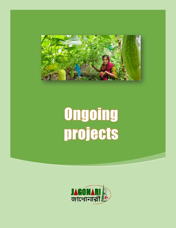 Ongoing Projects: Update 5 January 2026 (PDF)